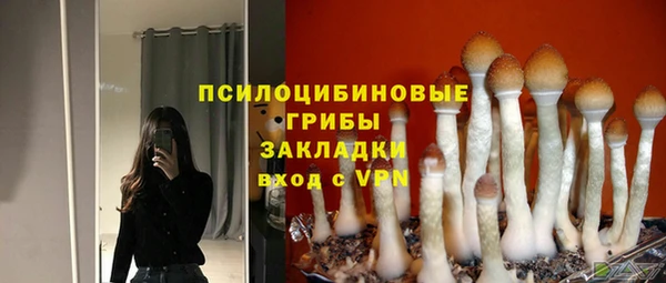 ПСИЛОЦИБИНОВЫЕ ГРИБЫ Ростов