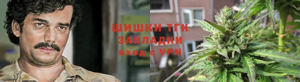 сатива Арсеньев