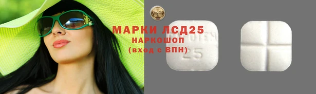 сатива Арсеньев