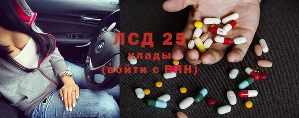 сатива Арсеньев