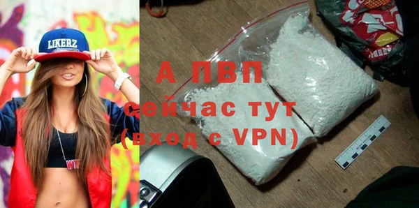 сатива Арсеньев