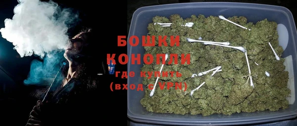сатива Арсеньев