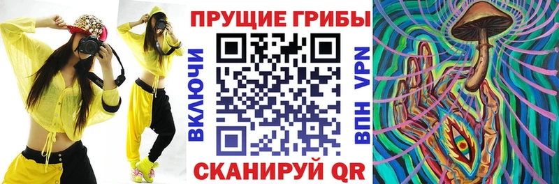 Галлюциногенные грибы прущие грибы  закладка  Верхняя Тура 